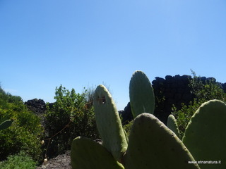 rre del Greco-17-05-2021 11